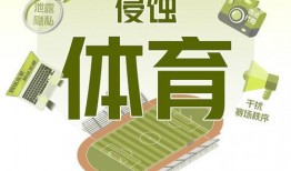 社会热点ppt 体育圈饭圈,热度与争议并存的社会热点解析